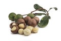 macadamia nuts on white background Royalty Free Stock Photo