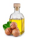 Macadamia oil in bottle with cork and nuts with leaves