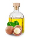 Macadamia oil in bottle and nuts with leaves