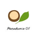 Macadamia oil. Cosmetic ingredient. Nutritional oil for skin care. Hand-drawn icon of macadamia nut. Vector illustration