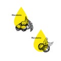 Macadamia oil icon set. Hand drawn sketch. Extract of plant. Vector illustration