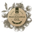 Macadamia oil label with hand drawn nuts