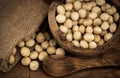 Macadamia on olivewood Royalty Free Stock Photo