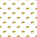 Macadamia pattern seamless vector