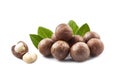 Macadamias nuts with leaves Royalty Free Stock Photo