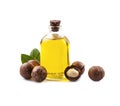 Macadamias oil and nuts Royalty Free Stock Photo