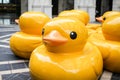MACAO, CHINA - April, 2018. Close up Installation of group of yellow ducklings on the street
