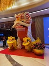 Macao China Macau Mgm Cotai Lions Dance Giant Lion Head Chinese Cultural Heritage Folk Arts Crafts Stage Entertainment Props