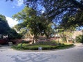 Macao S. Francisco Garden Springtime Spring Summer Trees Green Plants Sunny Afternoon Macau Park Children Playground