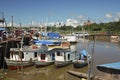 The Macapa Port in Amazonia