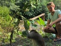 Macaque funny with a clever look holding a branch, and a blond g