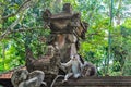 Macaque in the Hindu temple in Monkey Forest, Ubud, Bali Royalty Free Stock Photo