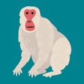 Macaque monkey rare animal vector.