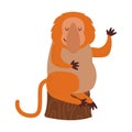 Macaque monkey rare animal vector.