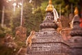 Macaque monkeys at Swayambhunath monkey temple