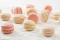 Macaron assortment macro