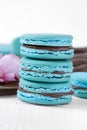 Macaron Closeup Royalty Free Stock Photo