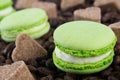 Macaron on coffee beans favorite sahra Royalty Free Stock Photo