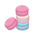 Macaron cookies drawing