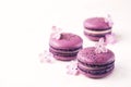 Macaron or macaroon french coockie on white textured background with spring lila flowers, pastel colors.