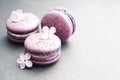 Macaron or macaroon french coockie on white textured background with spring lila flowers, pastel colors.