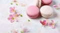 Macaron or macaroon french cookie on white textured with spring sakura flowers, pastel colors. Generative AI