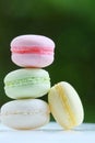 Macaron in pastel color with green blur background