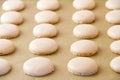 Macaron shells on baking sheet