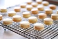 macaron shells cooling on a wire rack