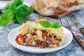 Macaroni casserole with ground beef, cheese and tomato on plate, horizontal