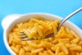 Macaroni and cheese on a fork Royalty Free Stock Photo