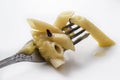 Macaroni with cheese on a fork close-up Royalty Free Stock Photo