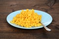 Macaroni and cheese with fork on plate Royalty Free Stock Photo