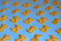 Macaroni in the form of butterflies on blue background. patterned background of pasta Royalty Free Stock Photo