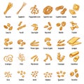 Macaroni icons set, cartoon style