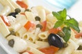 Macaroni mozzarella olives capers tomatoes salad Royalty Free Stock Photo