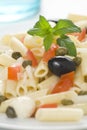 Macaroni mozzarella olives capers tomatoes salad Royalty Free Stock Photo