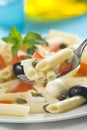 Macaroni mozzarella olives capers tomatoes salad Royalty Free Stock Photo