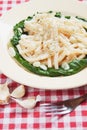 Macaroni pasta with galic and silverbeet Royalty Free Stock Photo