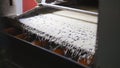 Macaroni product rolling on a conveyor belt in a pasta factory