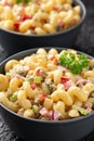 Macaroni Salad with red bell pepper, onion, celery, gherkins and mayonnaise dressing Royalty Free Stock Photo