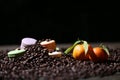 Macarons cakes among coffee beans Royalty Free Stock Photo