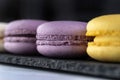 Macarons are laid out on a black slate in beautifully colored rows. Royalty Free Stock Photo