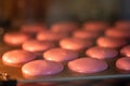 Macarons in the oven. Cooking at home. Sweet and colourful pink french macaroons