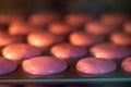 Macarons in the oven. Cooking at home. Sweet and colourful pink french macaroons Royalty Free Stock Photo