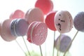 Macaroon Royalty Free Stock Photo