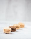 Macaroon biscuits with copy space