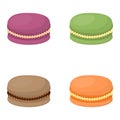 Macaroon cake vector illustration