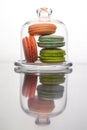 Macaroon cakes in a glass case. Multicolored french sponge cake dessert, vertical reflection