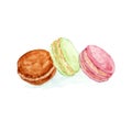 Macaroon cakes set. Watercolour